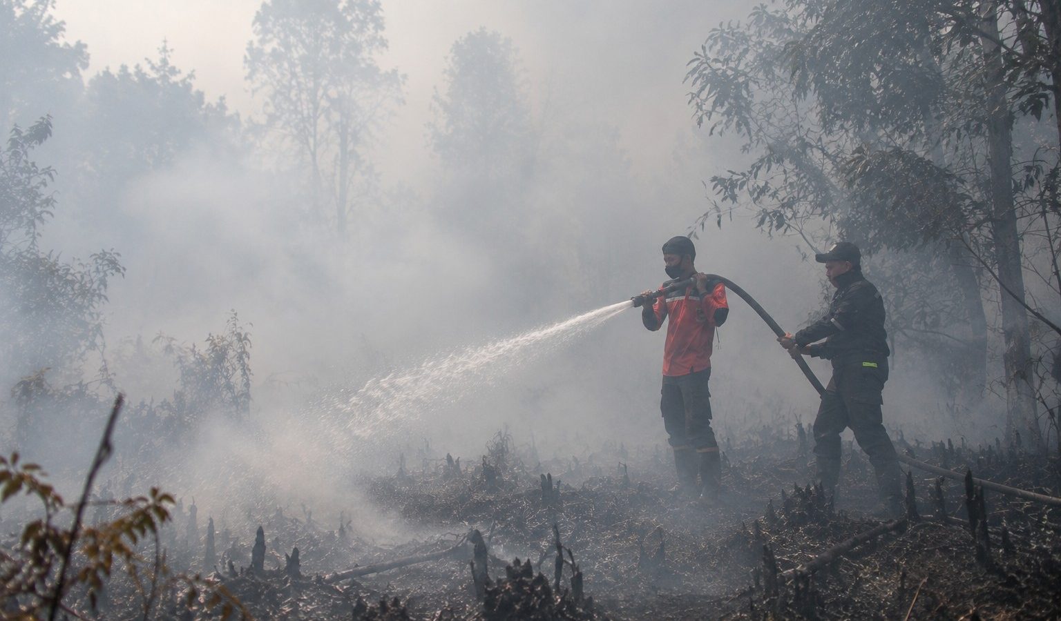 Petugas melakukan penanganan kebakaran hutan dan lahan.