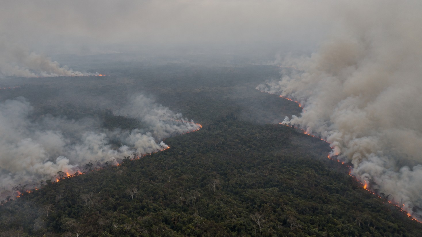 Mengejar Bara di Bawah Asap yang Menutup Langit
