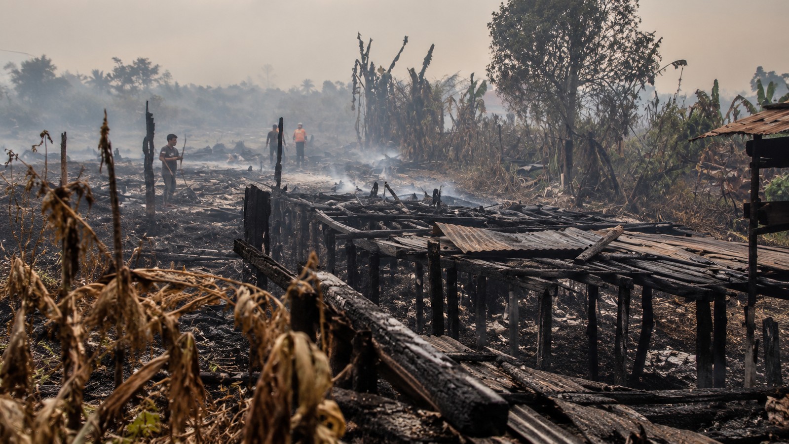 Rumah milik warga di Jalan Mahir Mahar, Kelurahan Bukit Tunggal, Palangka Raya, hangus terbakar. Kebakaran diduga berkaitan dengan rembetan api dari lahan di sekitar lokasi.